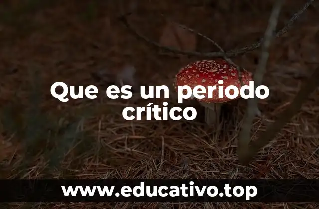 Que es un periodo crítico