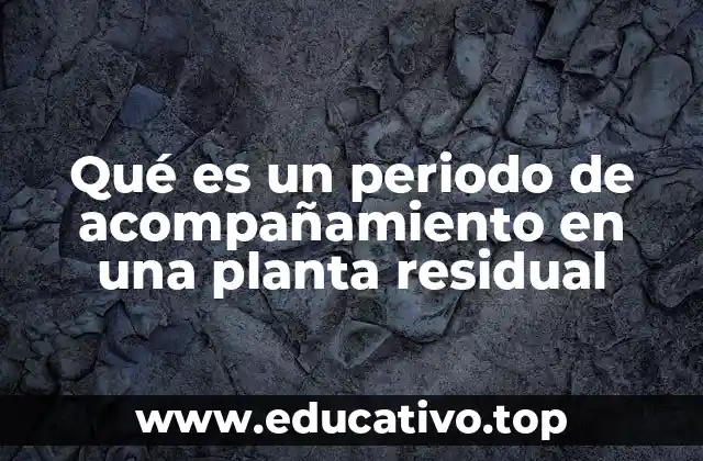 Qué es un periodo de acompañamiento en una planta residual