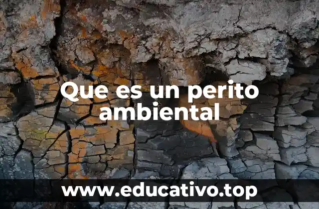 Que es un perito ambiental