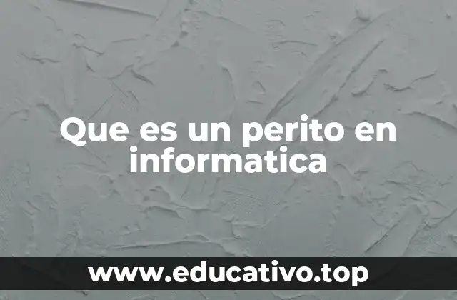Que es un perito en informatica
