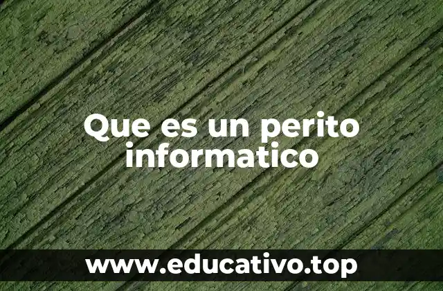 Que es un perito informatico