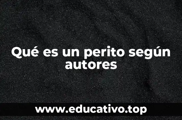 Qué es un perito según autores