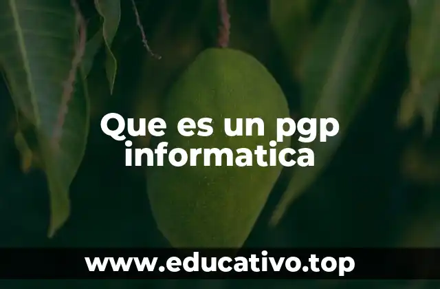 Que es un pgp informatica