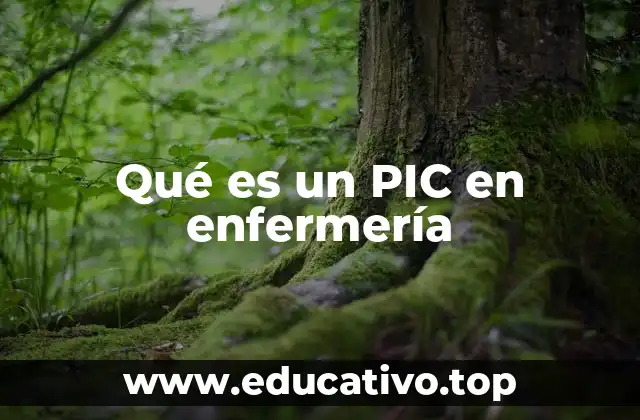 Qué es un PIC en enfermería