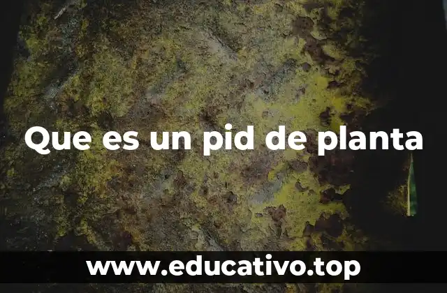 Que es un pid de planta