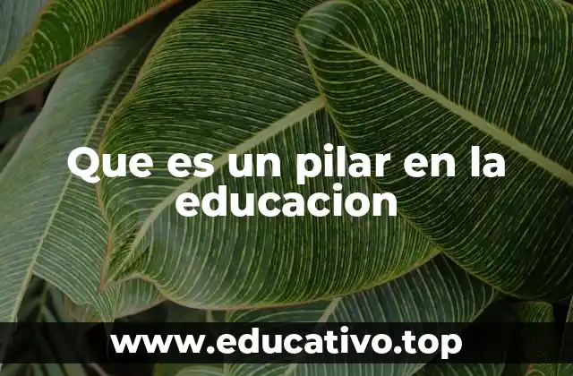 Que es un pilar en la educacion