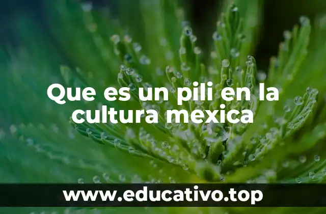 Que es un pili en la cultura mexica