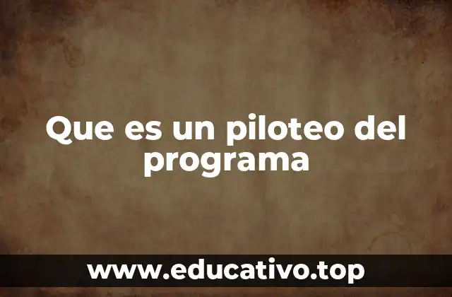 Que es un piloteo del programa