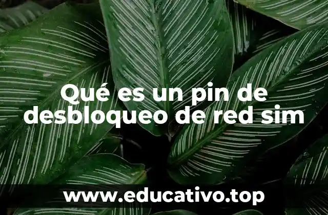 Qué es un pin de desbloqueo de red sim