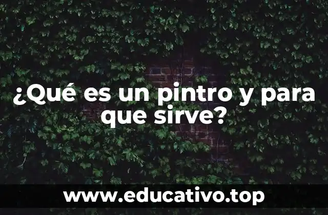 ¿Qué es un pintro y para que sirve?