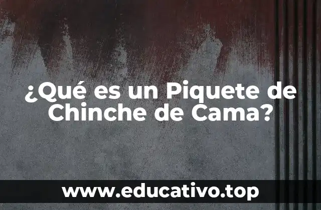 ¿Qué es un Piquete de Chinche de Cama?