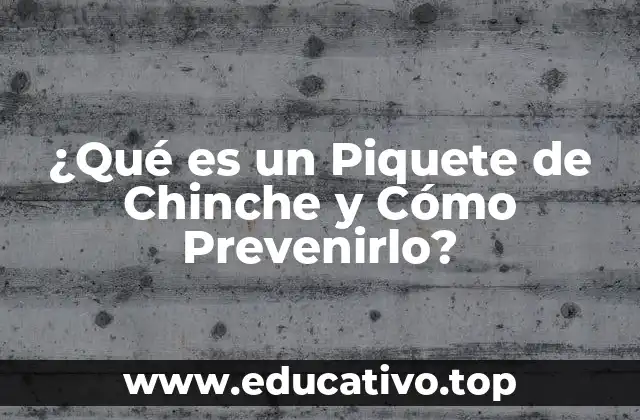¿Qué es un Piquete de Chinche y Cómo Prevenirlo?