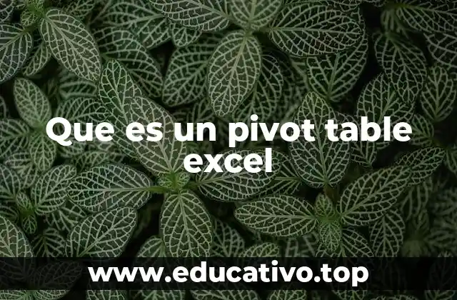 Que es un pivot table excel