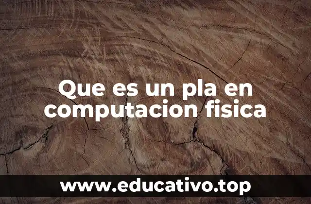 Que es un pla en computacion fisica