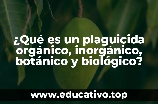 ¿Qué es un plaguicida orgánico, inorgánico, botánico y biológico?