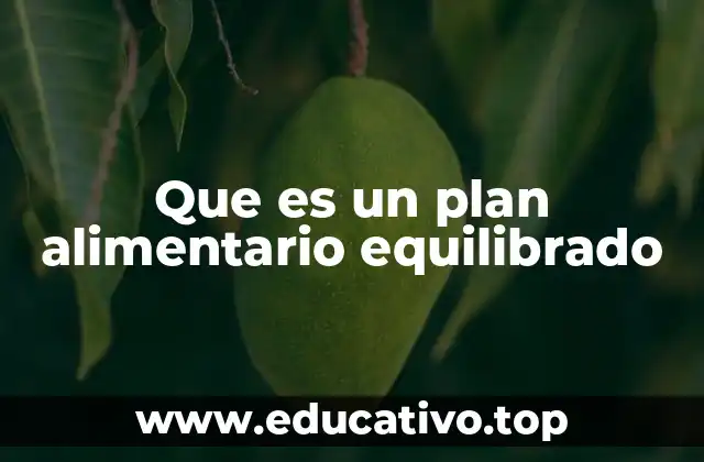 Que es un plan alimentario equilibrado