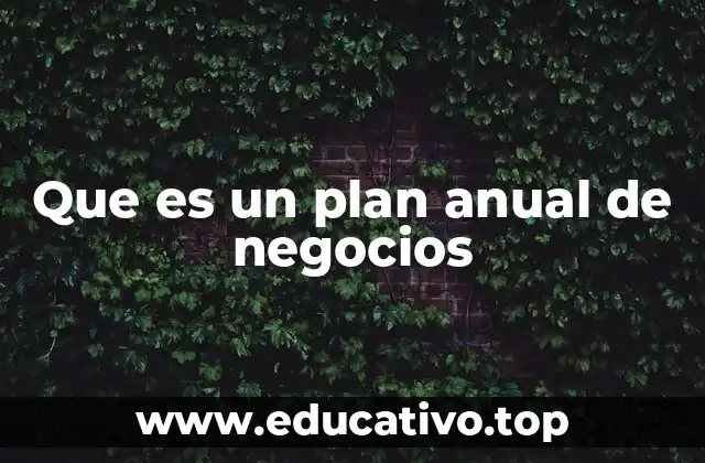 Que es un plan anual de negocios