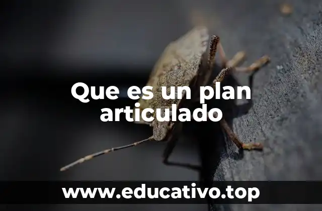 Que es un plan articulado