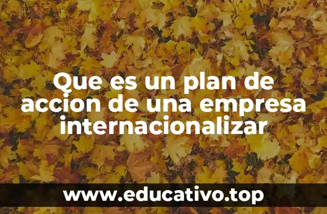 Que es un plan de accion de una empresa internacionalizar