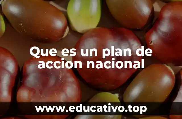 Que es un plan de accion nacional