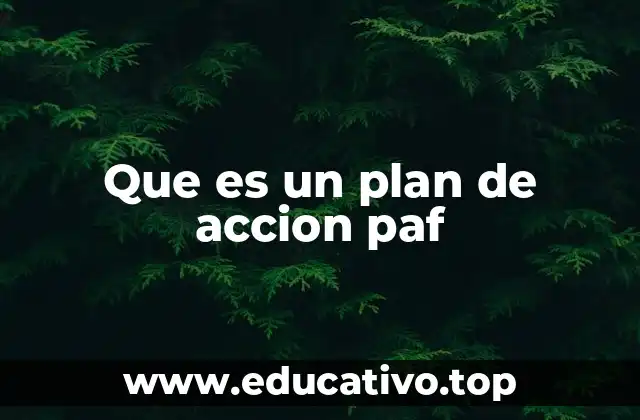 Que es un plan de accion paf