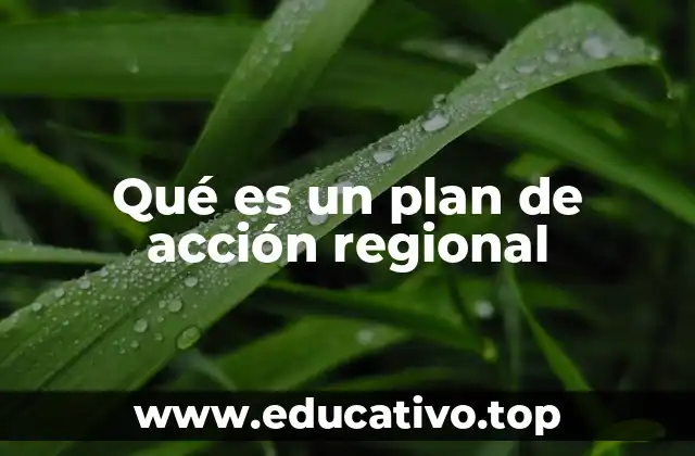 Qué es un plan de acción regional