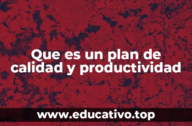 Que es un plan de calidad y productividad