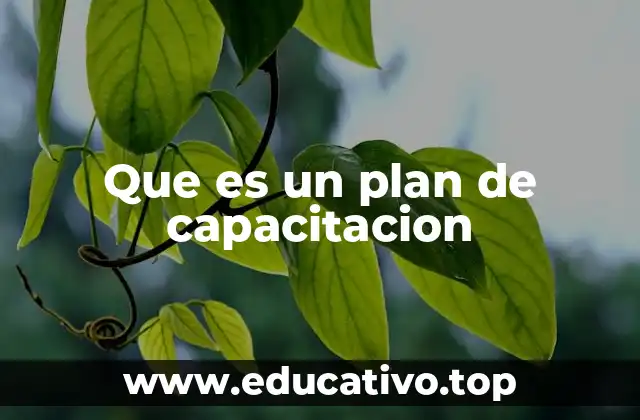 Que es un plan de capacitacion