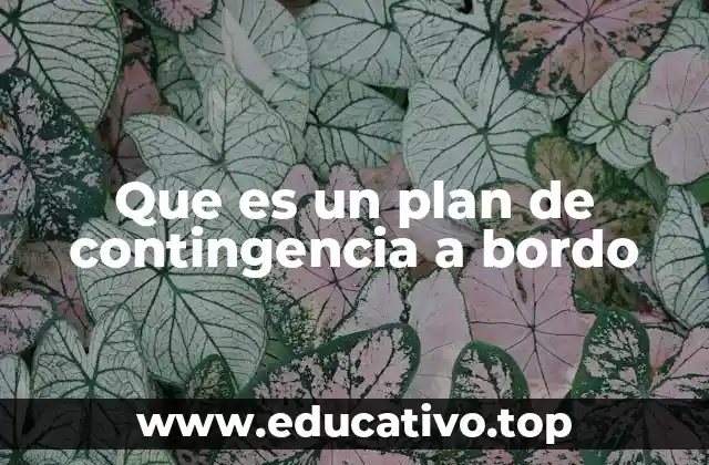 Que es un plan de contingencia a bordo