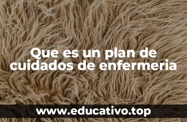 Que es un plan de cuidados de enfermeria