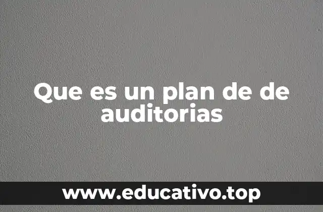 Que es un plan de de auditorias