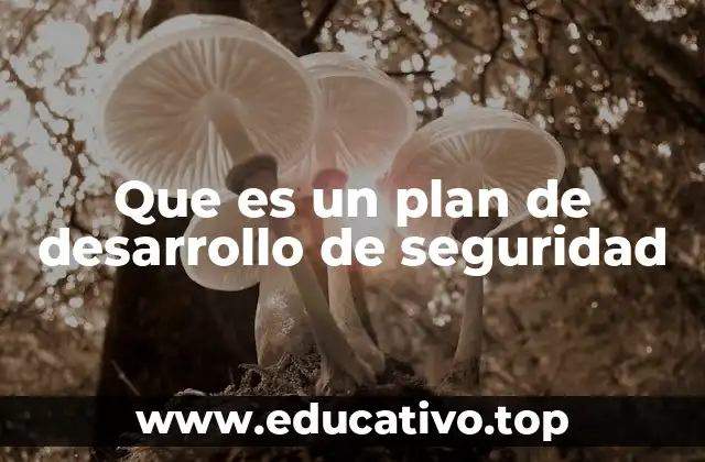 Que es un plan de desarrollo de seguridad