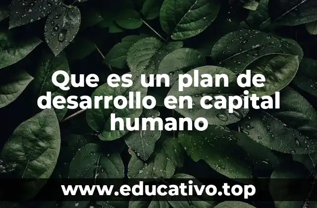 Que es un plan de desarrollo en capital humano