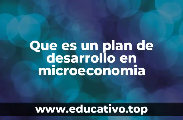 Que es un plan de desarrollo en microeconomia