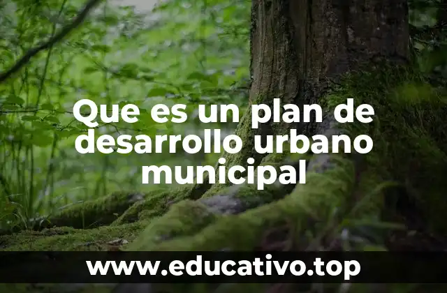 Que es un plan de desarrollo urbano municipal