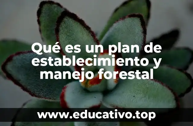 Qué es un plan de establecimiento y manejo forestal