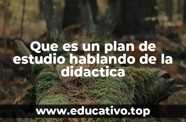 Que es un plan de estudio hablando de la didactica