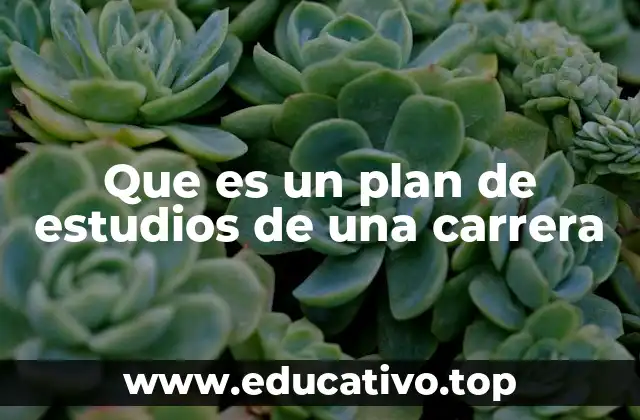 Que es un plan de estudios de una carrera