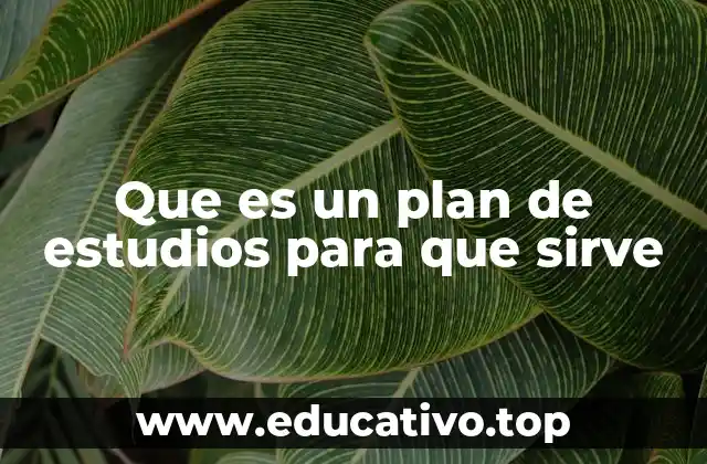Que es un plan de estudios para que sirve