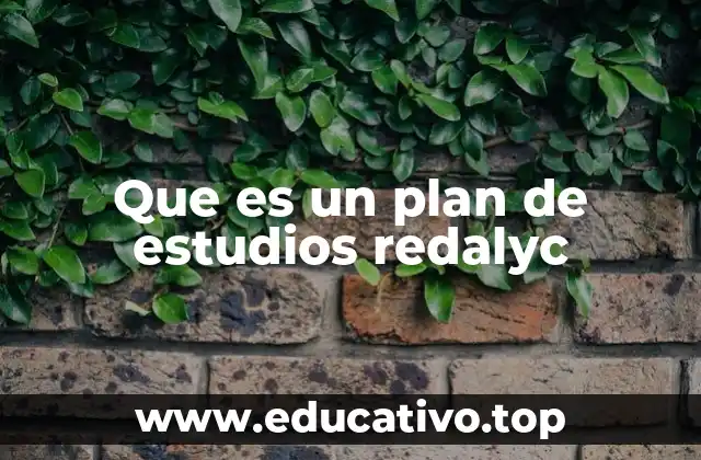 Que es un plan de estudios redalyc