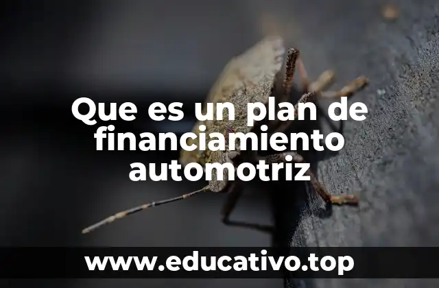Que es un plan de financiamiento automotriz