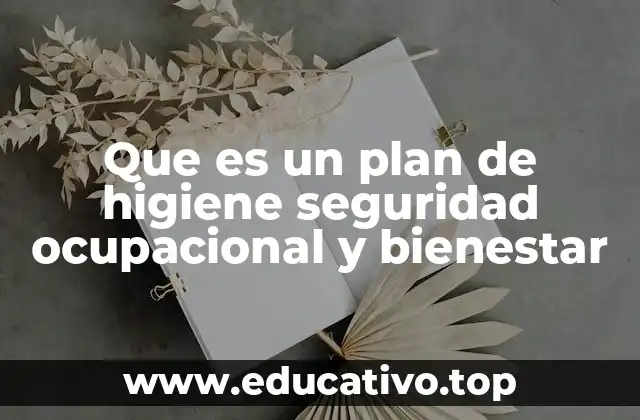 Que es un plan de higiene seguridad ocupacional y bienestar