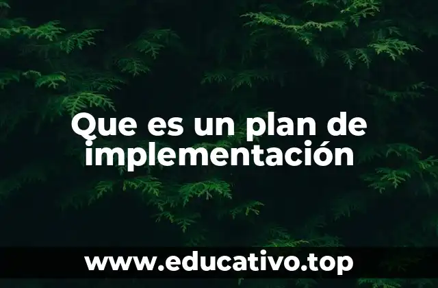 La importancia de estructurar un camino claro para ejecutar proyectos