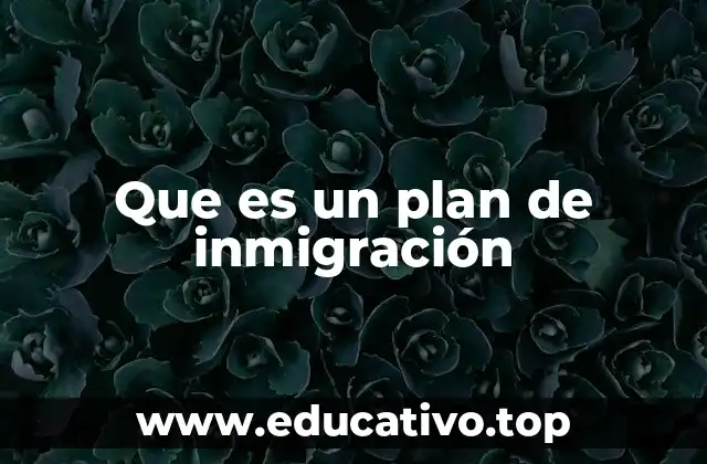 Que es un plan de inmigración