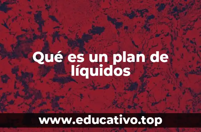 Qué es un plan de líquidos