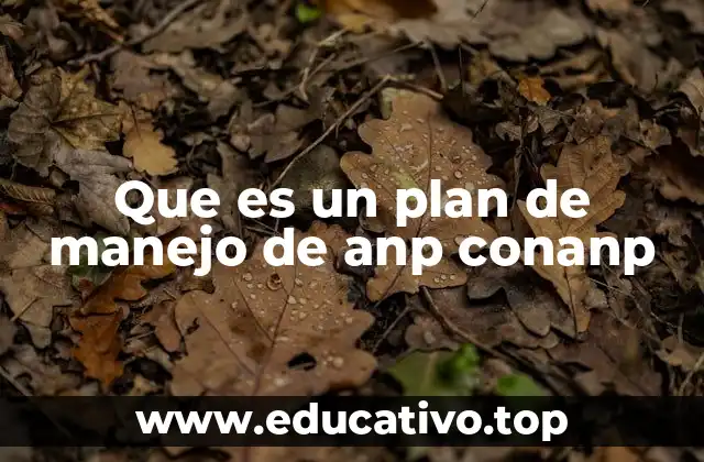 Que es un plan de manejo de anp conanp