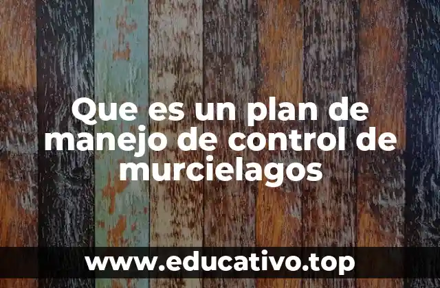 Que es un plan de manejo de control de murcielagos
