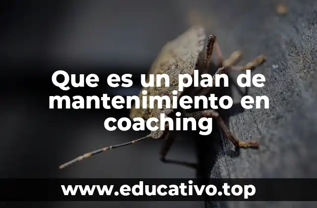 Que es un plan de mantenimiento en coaching