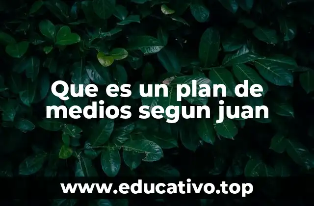 Que es un plan de medios segun juan