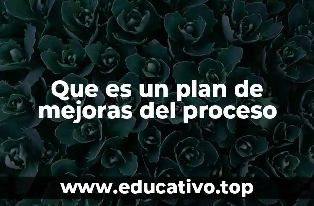 Que es un plan de mejoras del proceso